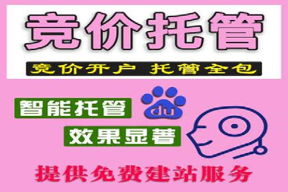 某公司SEM代理策略：实现流量转化